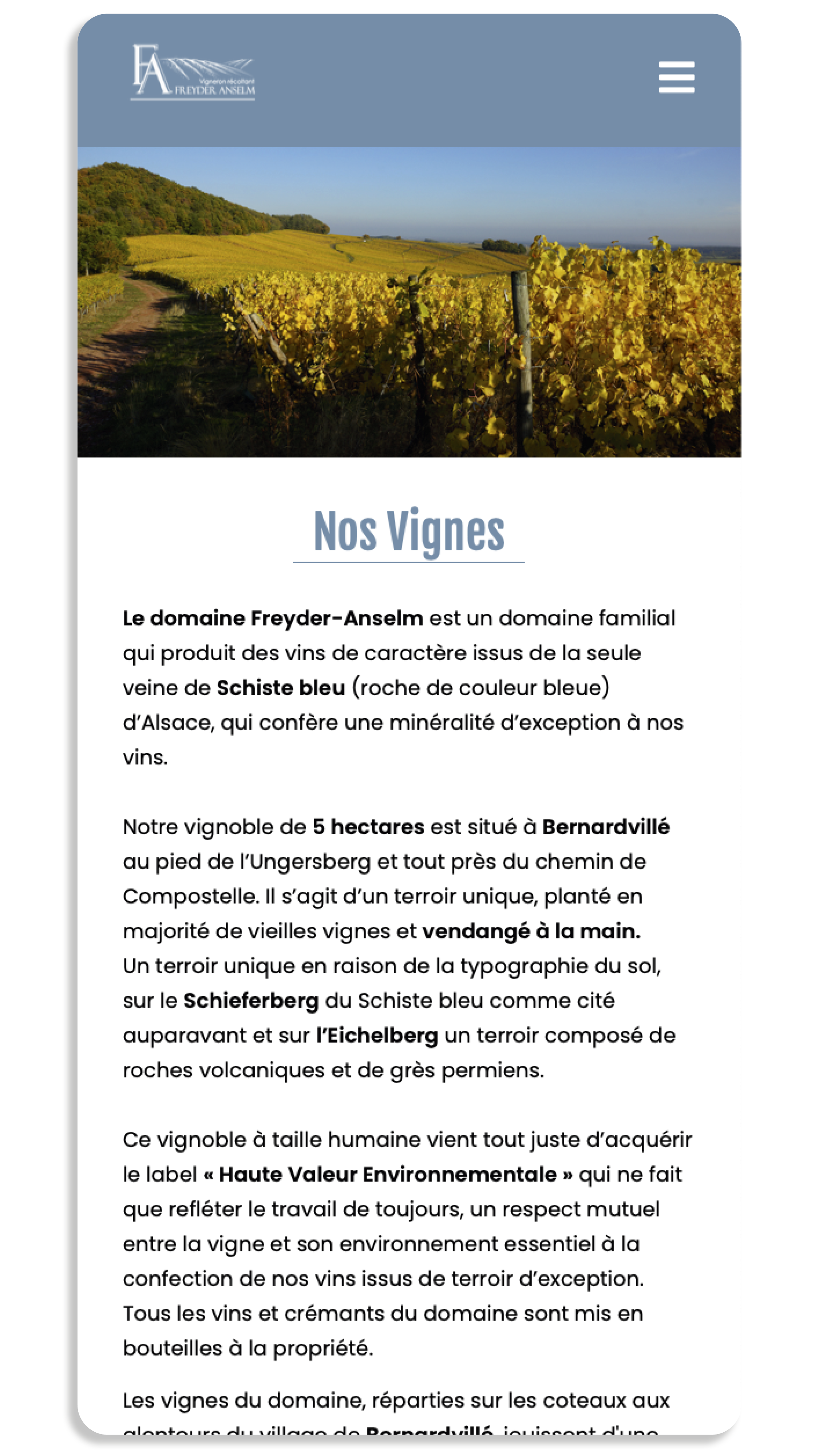 Vignes